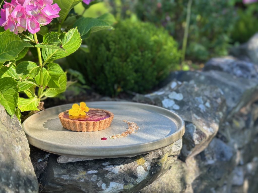 Individual tart filled with deep purple vegan damson curd pictured on a stone wall with flowers around in late evening sun