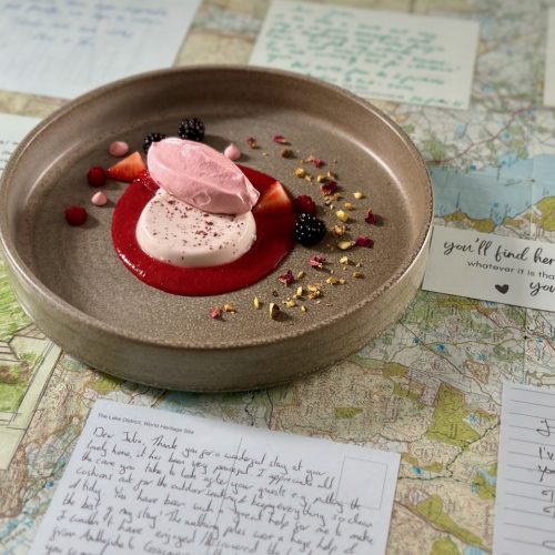 A vegan dessert. Pink meringue sitting on white panna cotta which is sitting on a round pool of strawberry coulis